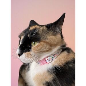 Designer Cat Collar, Pink XS, Very Cute, Unique Design